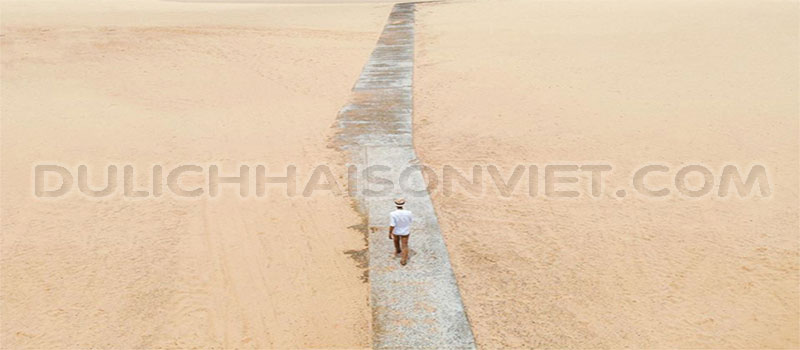 bau-sen-mui-ne-phan-thiet