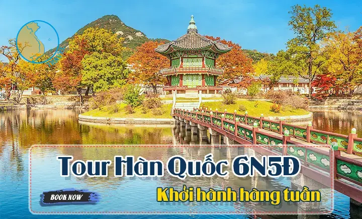 Tour Hàn Quốc 6N5Đ | Seoul | Đảo Nami | Tháp Namsan | Làng Cổ | Nhà Xanh